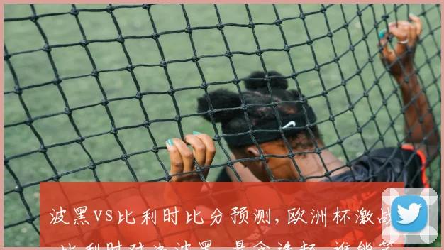 波黑vs比利时比分预测,欧洲杯激战,比利时对决波黑,悬念迭起,谁能笑到最后
