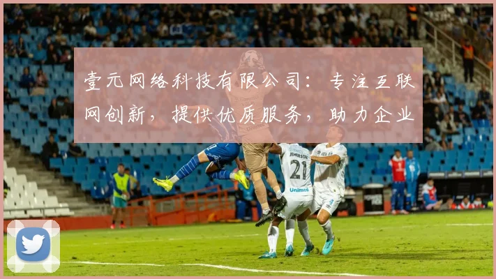 壹元网络科技有限公司：专注互联网创新，提供优质服务，助力企业成长，打造行业标杆，引领未来趋势。